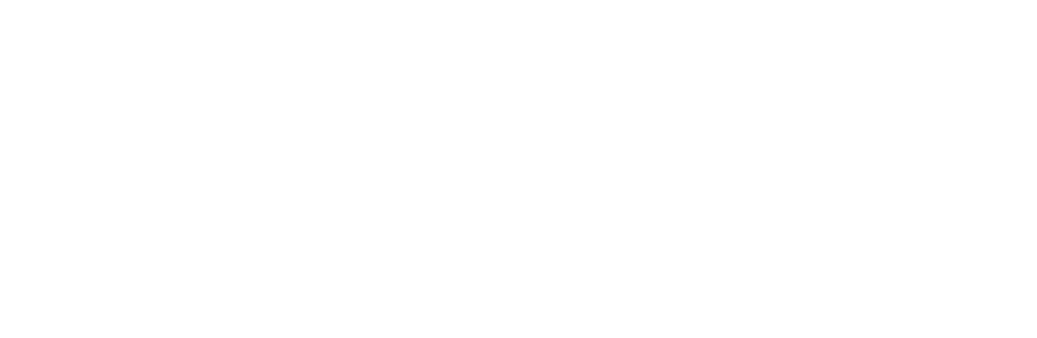 vuur band logo